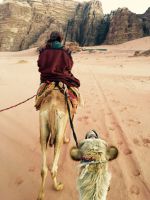 camel-ride-5