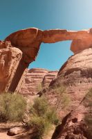 IMG_20260302_234914_959