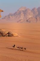 IMG_20260302_235015_042