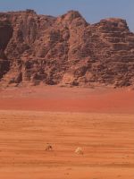 IMG_20260302_235021_824